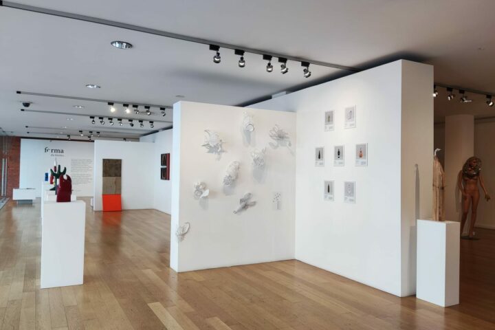 Exposição de Arte e Design no Centro de Artes e Espectáculos da Figueira da Foz