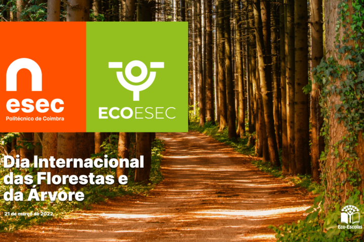 Comemoração do Dia Internacional das Florestas e da Árvore