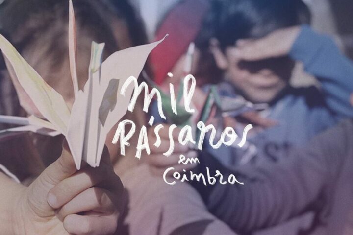 Mil Pássaros em Coimbra – Encontro Arte-Ambiente