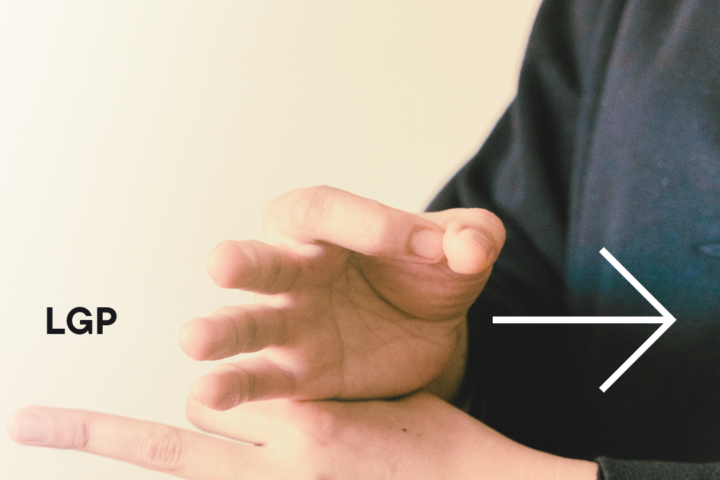 Celebração do Dia Nacional da Língua Gestual Portuguesa